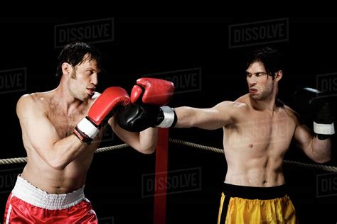 Boxers Fighting In Boxing Ring Stock Photo Dissolve