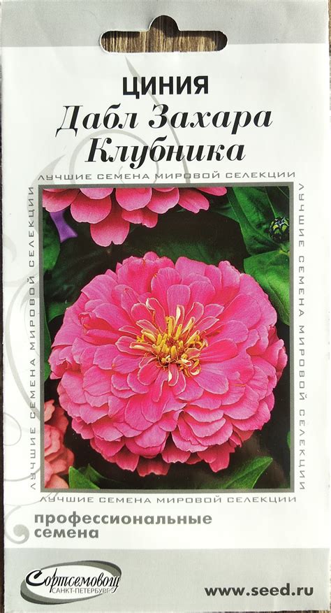 Циния Захара – купить семена на OZON по выгодным ценам