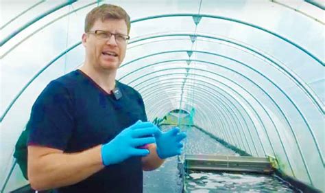 Spirulina Farming in New Zealand - algaeplanet.com