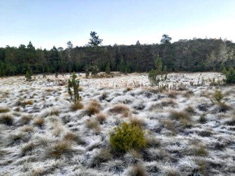 Inicia El Invierno Valle Nuevo Registra Temperaturas De Grados