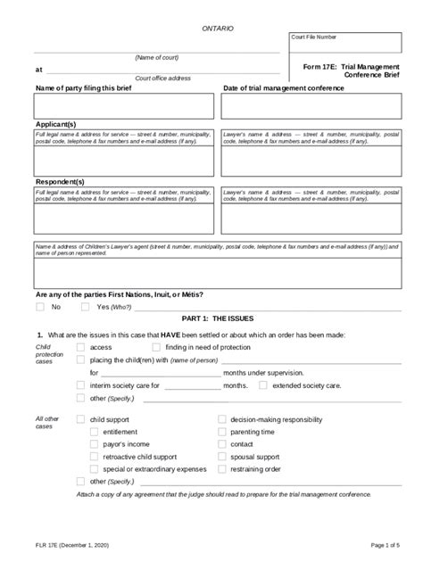 FLR 17E Ontario Court Forms Fill Out And Sign Printable PDF Template