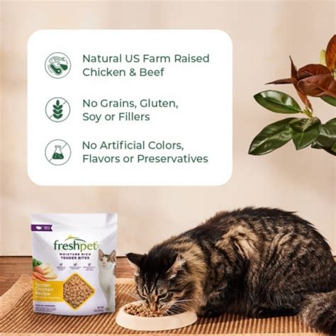 Freshpet Select Moisture Rich Tender Bites Tender Chicken Recipe Cat