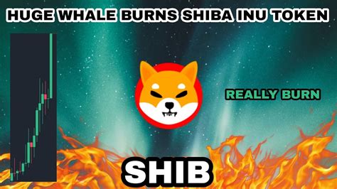 Shib Coin Huge Burns In Shiba Inu Really Burn On Every