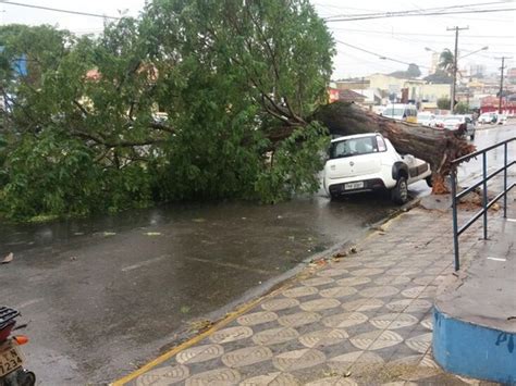 G1 Ventania derruba árvore sobre carro estacionado em Itapetininga