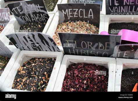 Various Infusions Of Beneficial Medicinal Plants For Health Stock Photo
