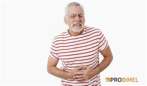 Recuperate de la gastritis con probióticos naturales Probimel