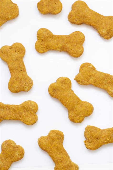 Healthy Pumpkin Dog Treats | B. Britnell