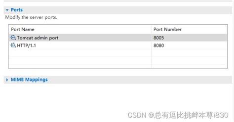 Tomcat启动报错The server cannot be started because one or more of the ports