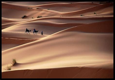 Desert Morocco Erg Chebbi Nature Caravane Camel Hd Wallpaper Peakpx