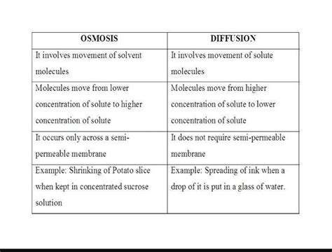 Difference Between Diffusion And Osmosis