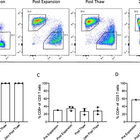 Major T Cell Subset Characterization Throughout The Cell Manufacturing Download Scientific