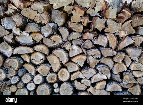 Stack Of Firewood Stock Photo Alamy