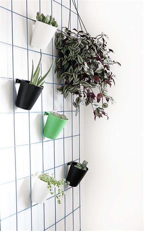 Indoor Plants Wall Hanging - Plants Photo