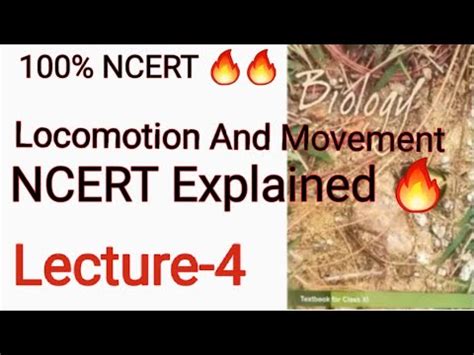 Locomotion And Movement Lecture 4 11th NEET NCERT Full