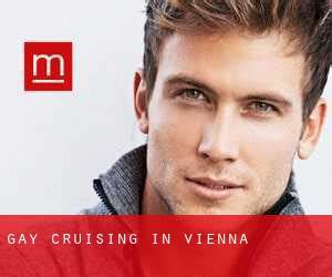 Gay Cruising In Vienna Austria