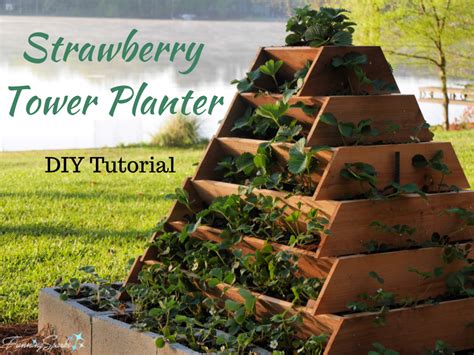 Strawberry Tower Planter Diy Tutorial Fanningsparks