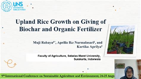 Id124 Upland Rice Growth On Giving Of Biochar Icsae Ix