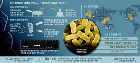 스퀘어 최강 항생제 안듣는 수퍼 박테리아 한국도 3명 감염