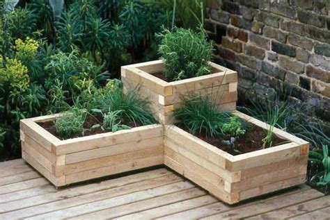 Simple Tips For Growing Herbs In Pots For Beginners QUICK GUIDE