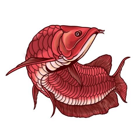 Dragon Fish PNG Vector PSD And Clipart With Transparent Dragon Fish