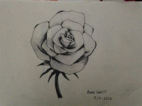 Open Rose - Sketch Drawing by Anne-Gir-Cookie on DeviantArt