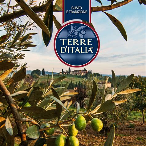 Terre D Italia Olio Extra Vergine Di Oliva Toscano Igp L Carrefour