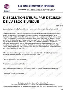 Proces Verbal De Dissolution Eurl Pdf Notice Manuel D Utilisation