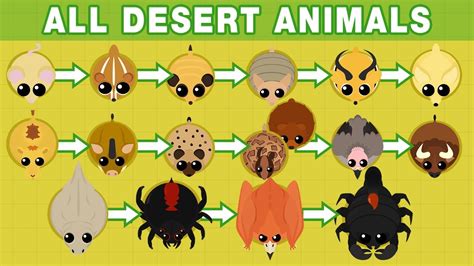 All Desert Animals In Youtube