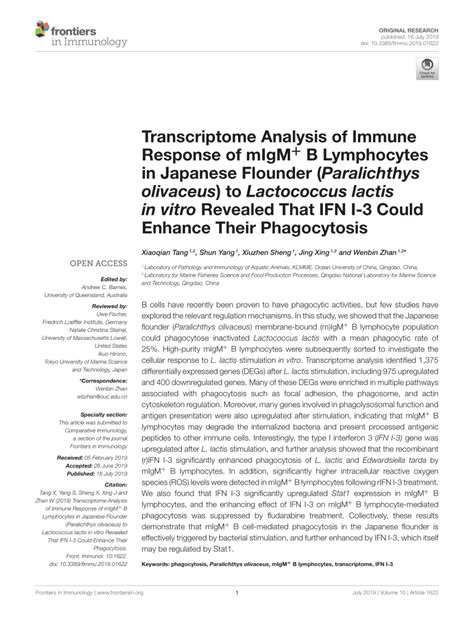 Pdf Transcriptome Analysis Of Immune Response Of Migm B Lymphocytes