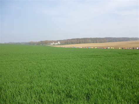 Challenge de jogging du Brabant Wallon 619 runners sous le soleil à