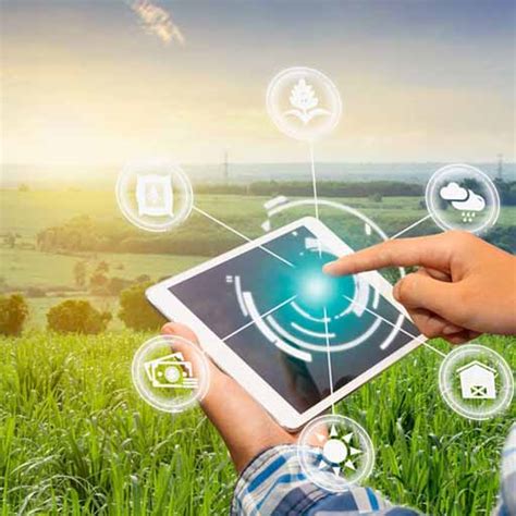 Qu Es La Transferencia Tecnol Gica En La Agricultura Bolet N