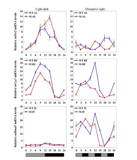 Clock Gene Expression In The Liver Under Various Feeding And Lighting