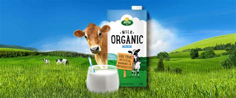 Ice Coffee Milk Arla Foods