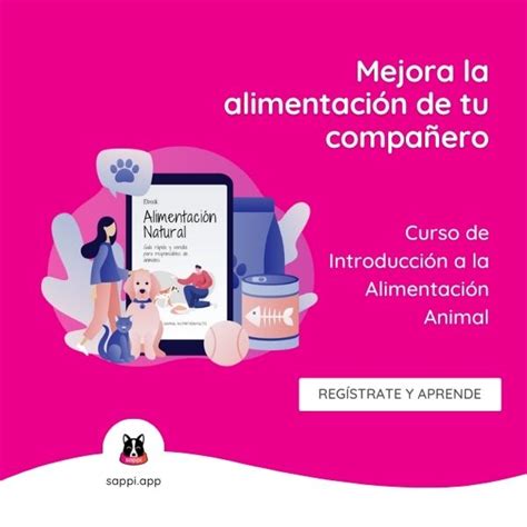 IntroducciÓn A La AlimentaciÓn Natural Para Perros Y Gatos Sappi App Hotmart