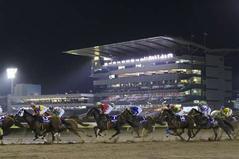 大井競馬場とトゥインクルレース ココシル品川