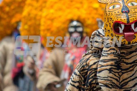 Danza De Los Tlacololeros En Chichihualco Agencia De Fotografía Es