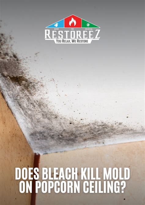 How To Remove Mold From Popcorn Ceiling