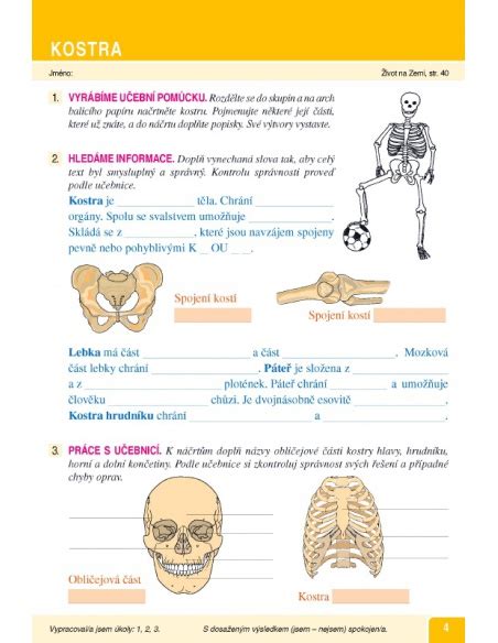 Pracovn Listy K U Ebnici Ivot Na Zemi Lov K Jeho Zdrav