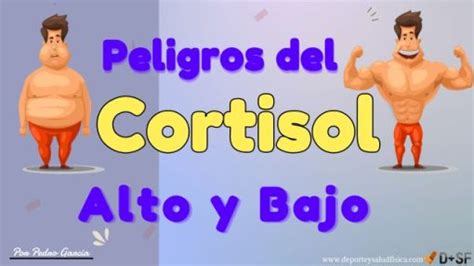 Si Tienes El Cortisol Alto O Muy Bajo Debes De Leer Este Artículo