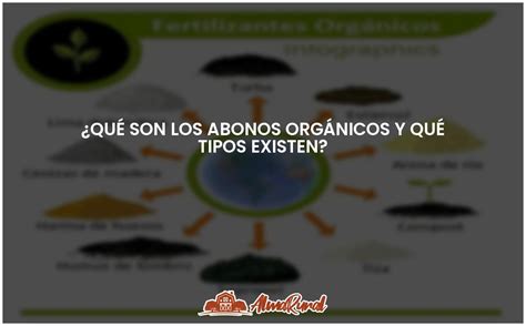 Abonos orgánicos tipos y beneficios para tu jardín ALMARURAL