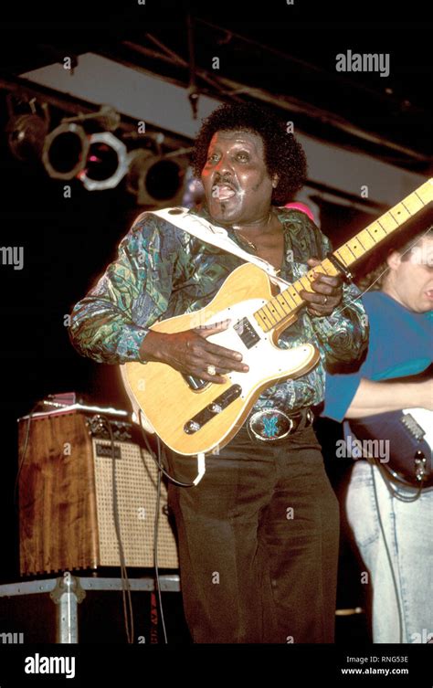 Blues Musician Albert Collins Is Shown Playing His Guitar During A