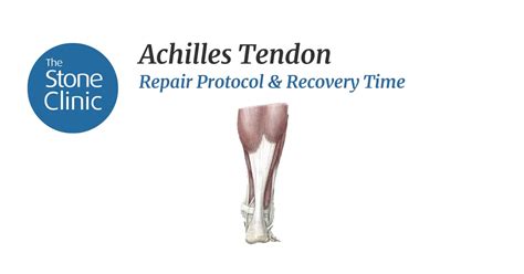 Achilles Tendon Repair Exercises | Hot Sex Picture