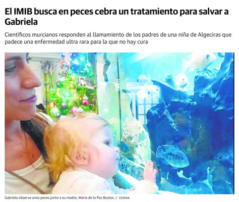 Rarasnoinvisibles On Twitter Rt Noinvisibles El Iic Umu Imib Busca