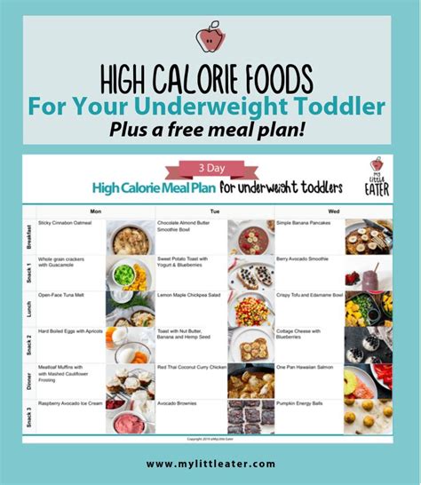 High Calorie Food High Calorie Meals High Calorie Baby Food Healthy