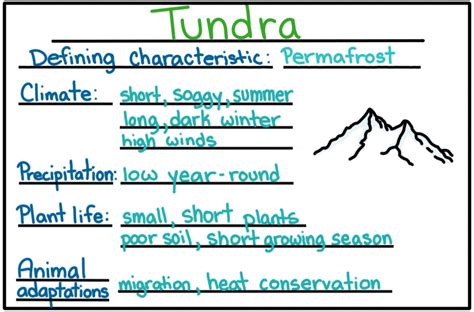 Tundra Biome