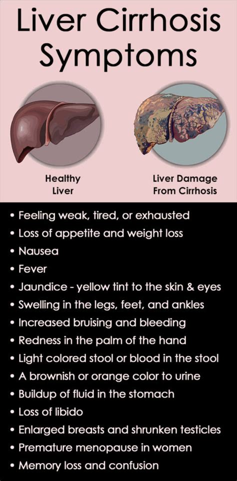 Understanding Cirrhosis Causes Symptoms And Treatment Ask The