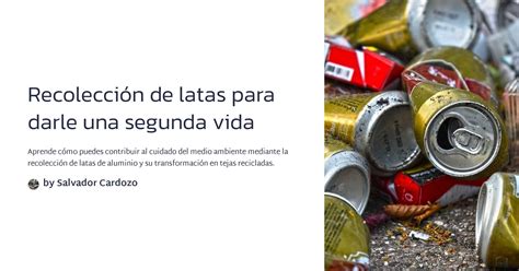 Recolecci N De Latas Para Darle Una Segunda Vida