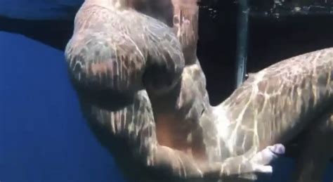 HOT STRAIGHT GUY NAKED IN THE OCEAN ThisVid