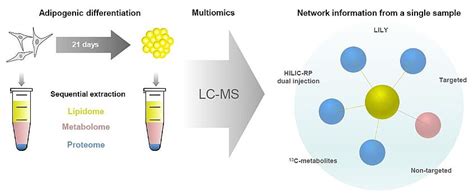 Lc Ms Based Lipidomics