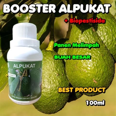 Pupuk Booster Alpukat Cair Perangsang Buah Agar Cepat Berbuah Lebat